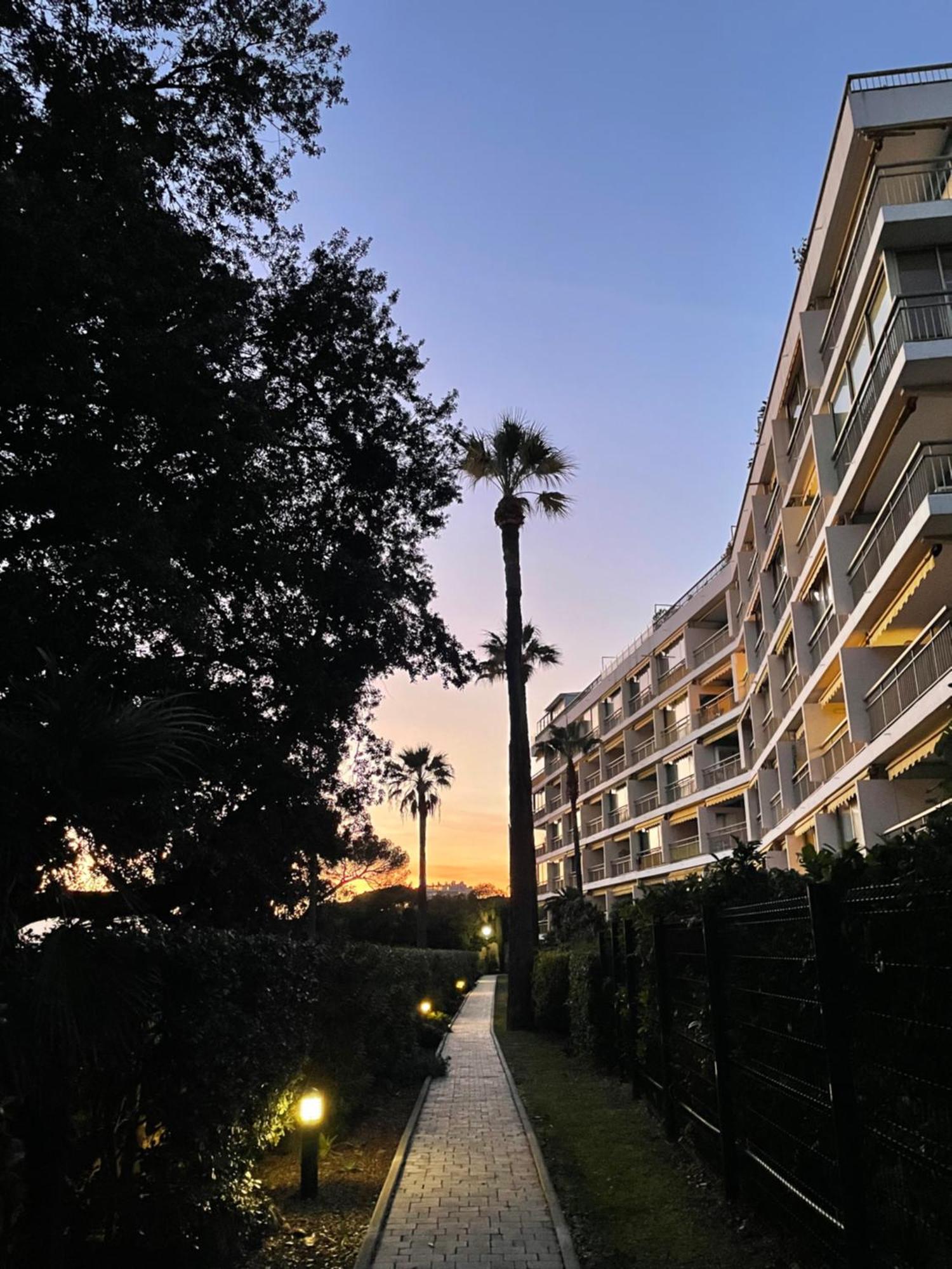 C037-Nice Studio With Garden And Parking - Near Beach Cannes Exterior foto
